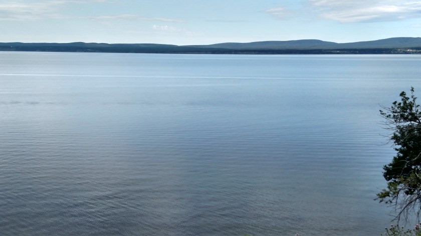 IMG_20190813_100457830_HDR