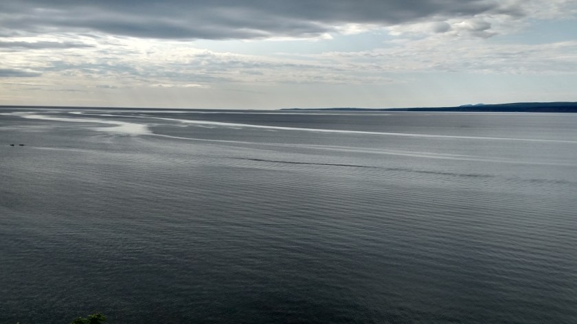 IMG_20190813_100519636_HDR