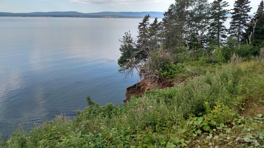 IMG_20190813_101149967_HDR