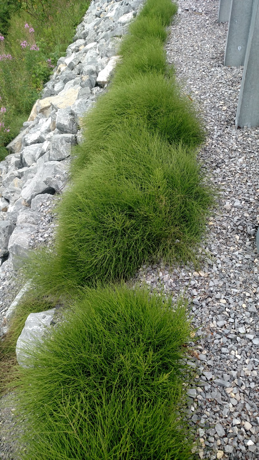 IMG_20190813_103058594