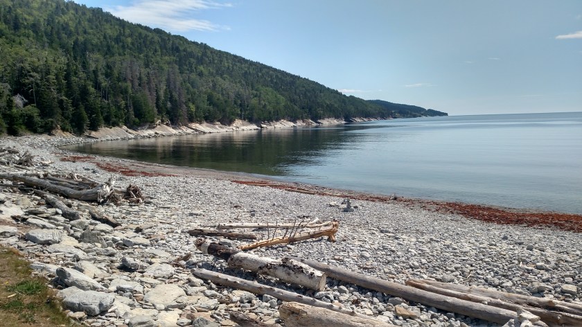 IMG_20190813_125100209_HDR