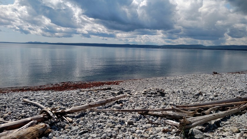 IMG_20190813_125108036