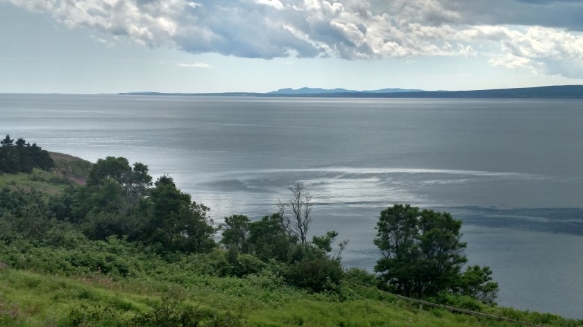 IMG_20190813_130642619_HDR