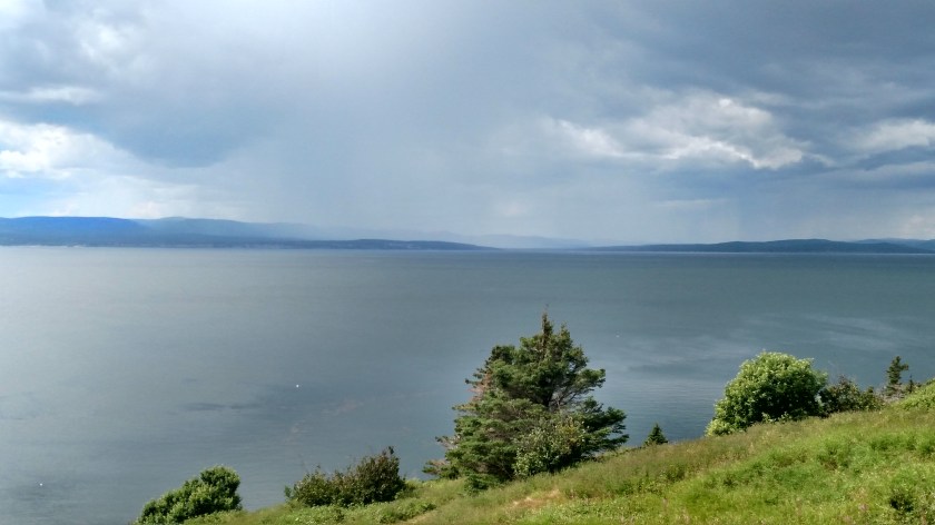 IMG_20190813_130953079_HDR