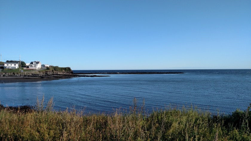 IMG_20190814_080550485