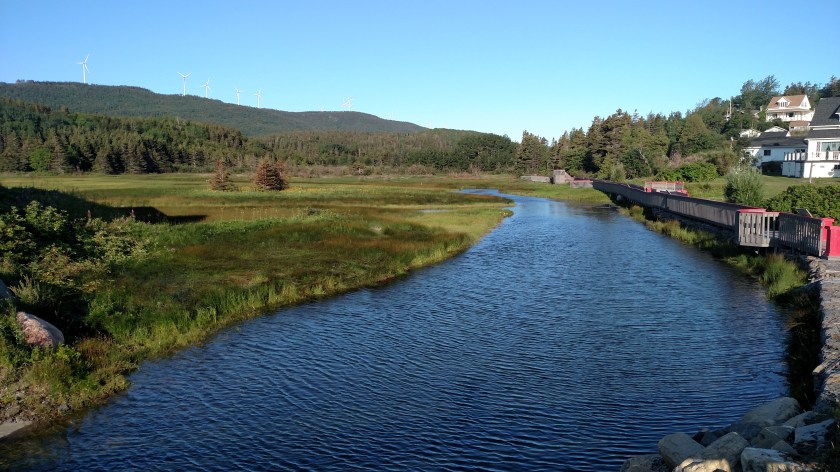 IMG_20190814_081008692