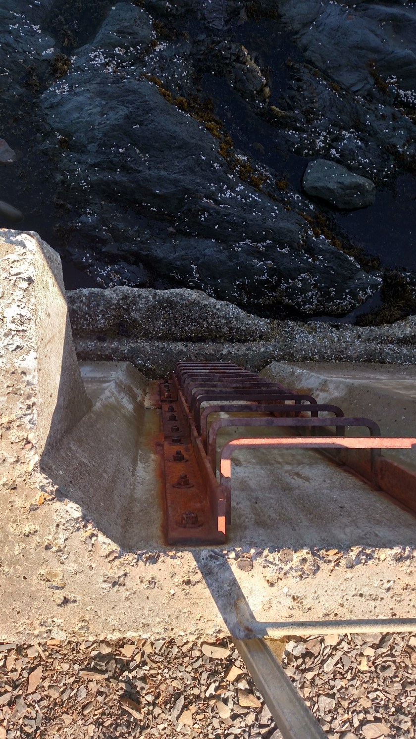 IMG_20190814_100905164_HDR