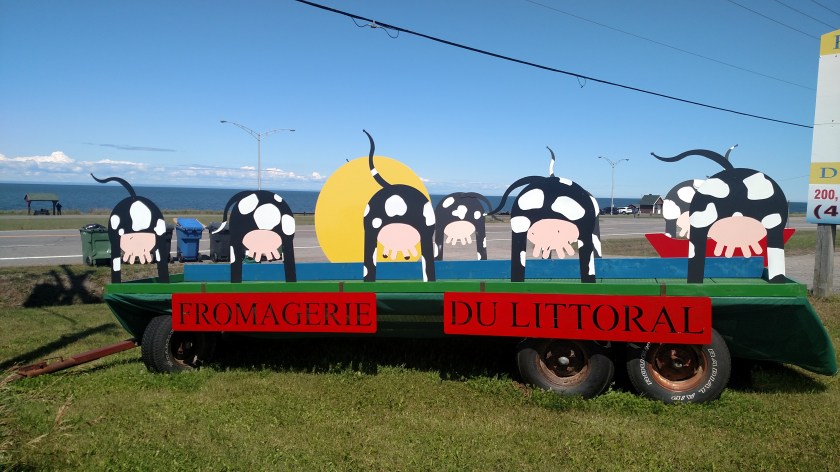 IMG_20190814_141353074