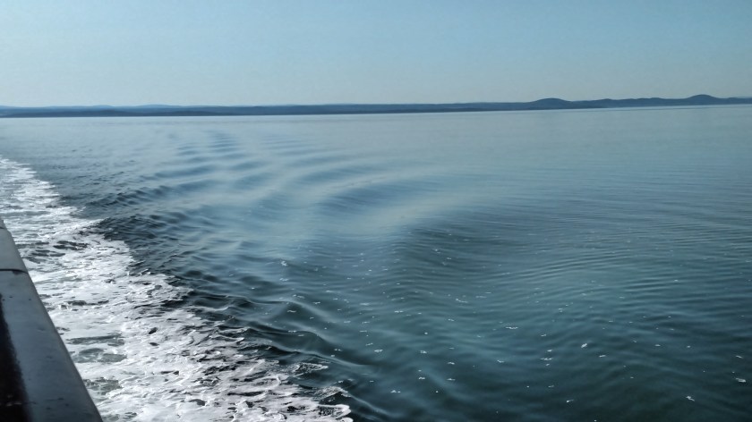 IMG_20190815_094221493