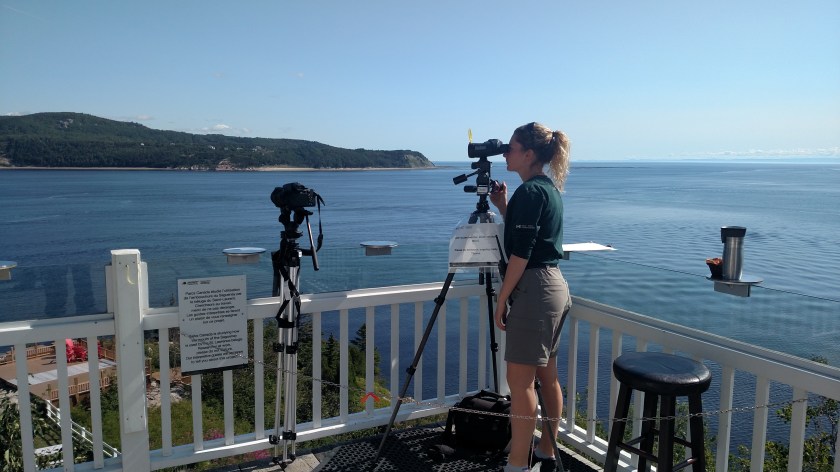 IMG_20190815_110258938