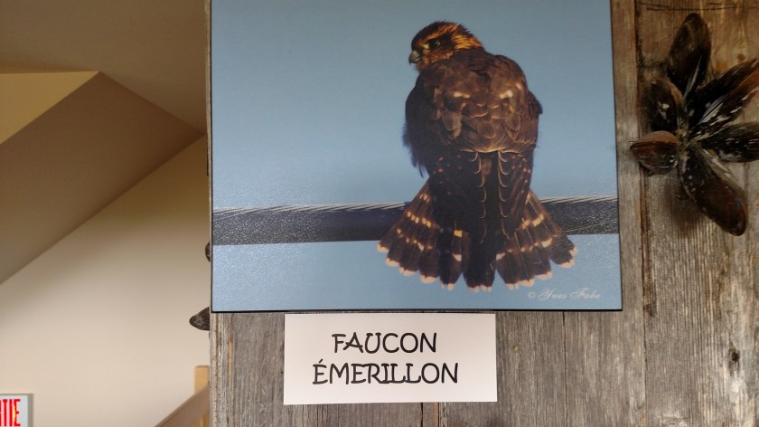 IMG_20190815_125233796