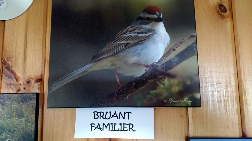 IMG_20190815_125251768