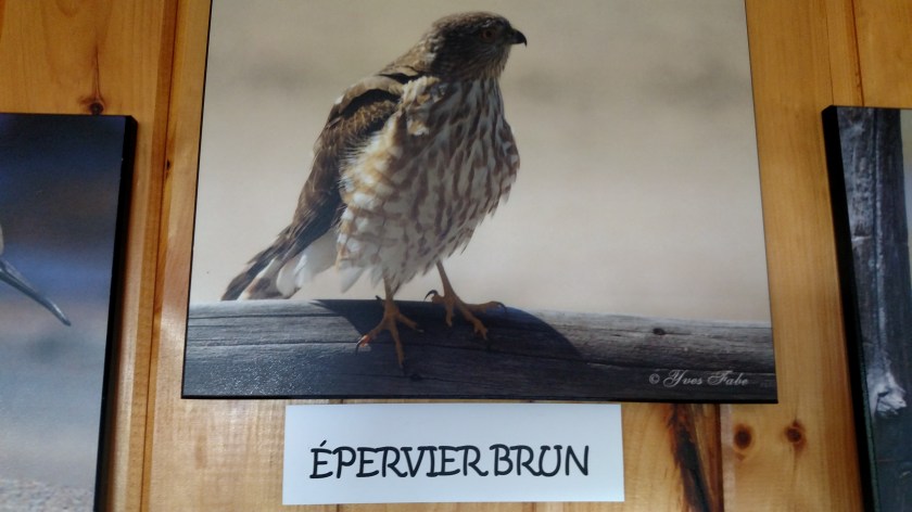 IMG_20190815_125306536