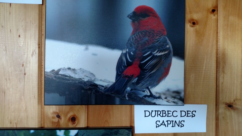 IMG_20190815_125312226