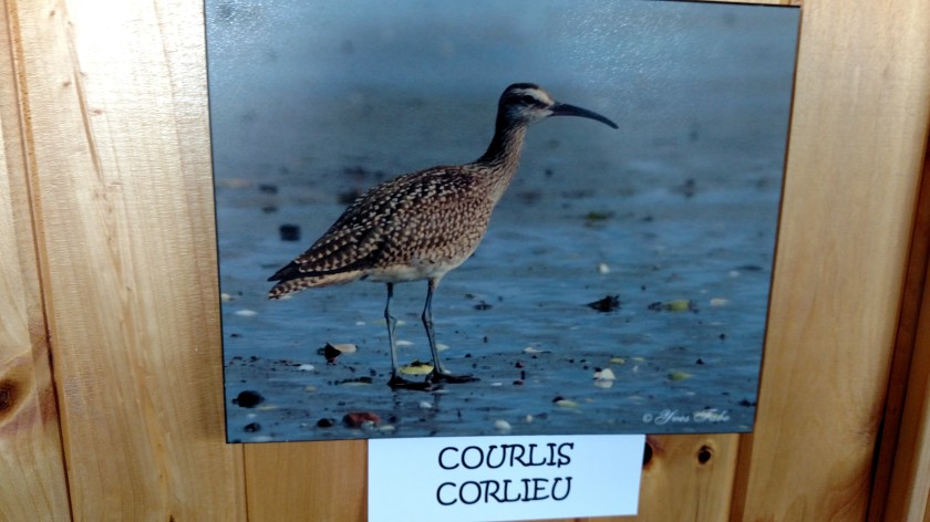 IMG_20190815_125321576