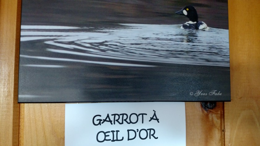 IMG_20190815_125358723