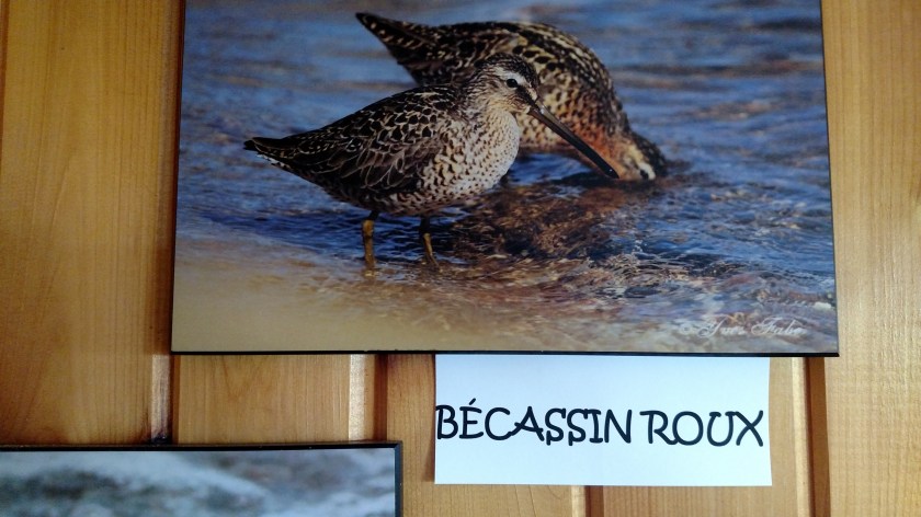 IMG_20190815_125411698