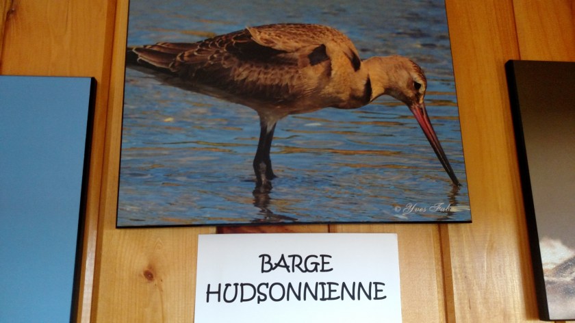 IMG_20190815_125511933