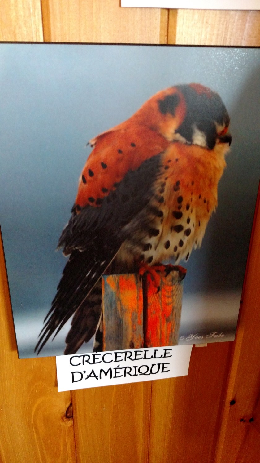 IMG_20190815_125527255