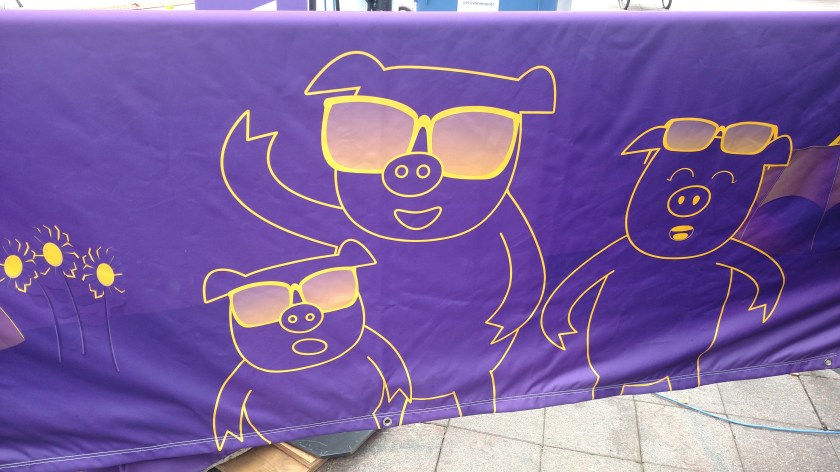 IMG_20190816_131349213