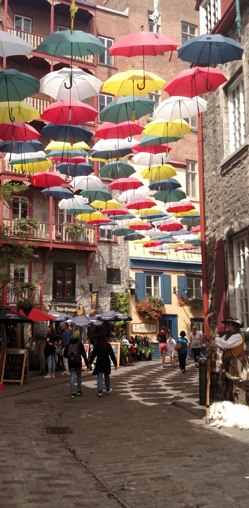 IMG_20190816_152857190