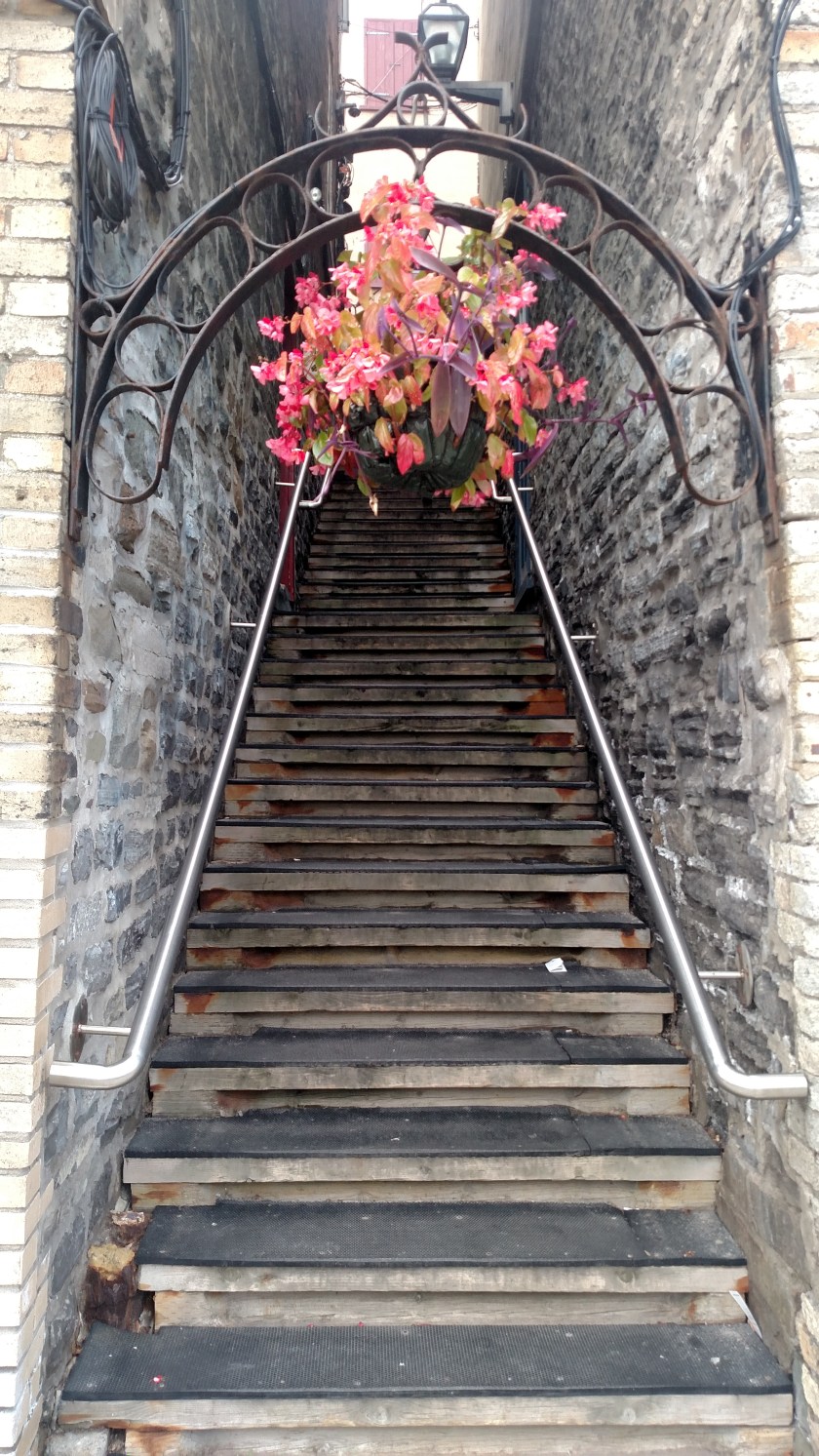 IMG_20190816_154351402