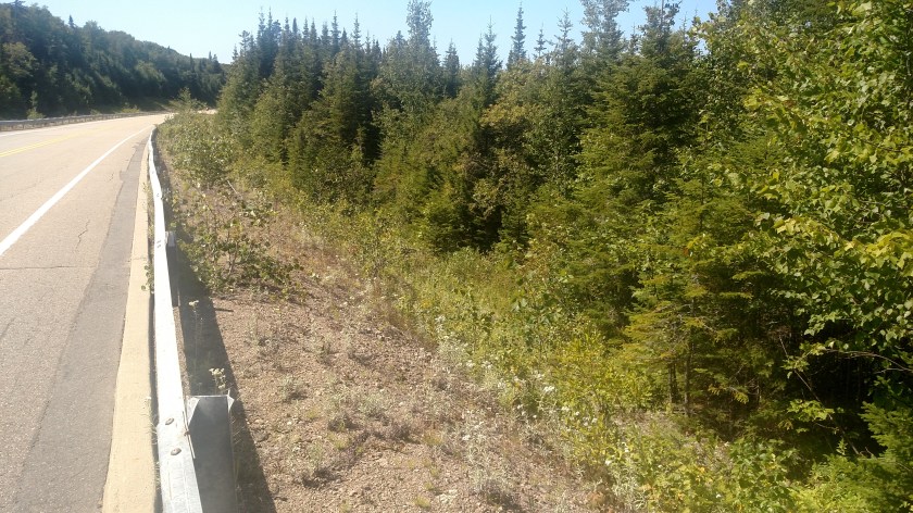 IMG_20190820_152556377