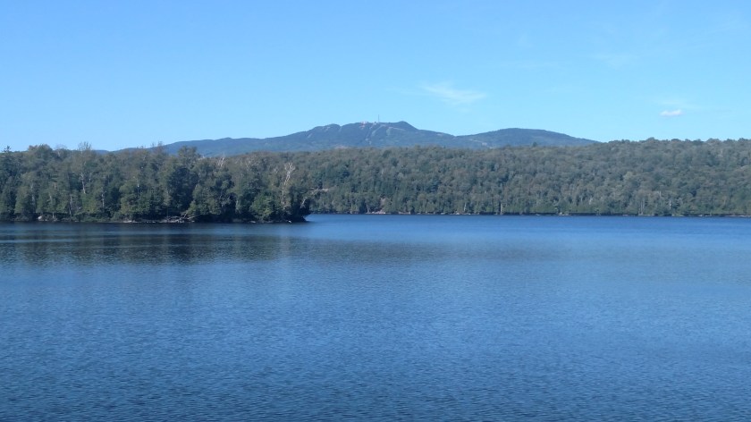 IMG_20190820_164228303