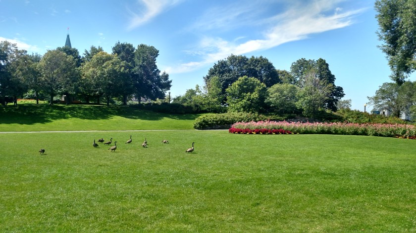 IMG_20190821_115103464_HDR