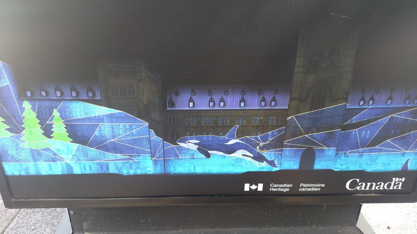 IMG_20190821_115232172