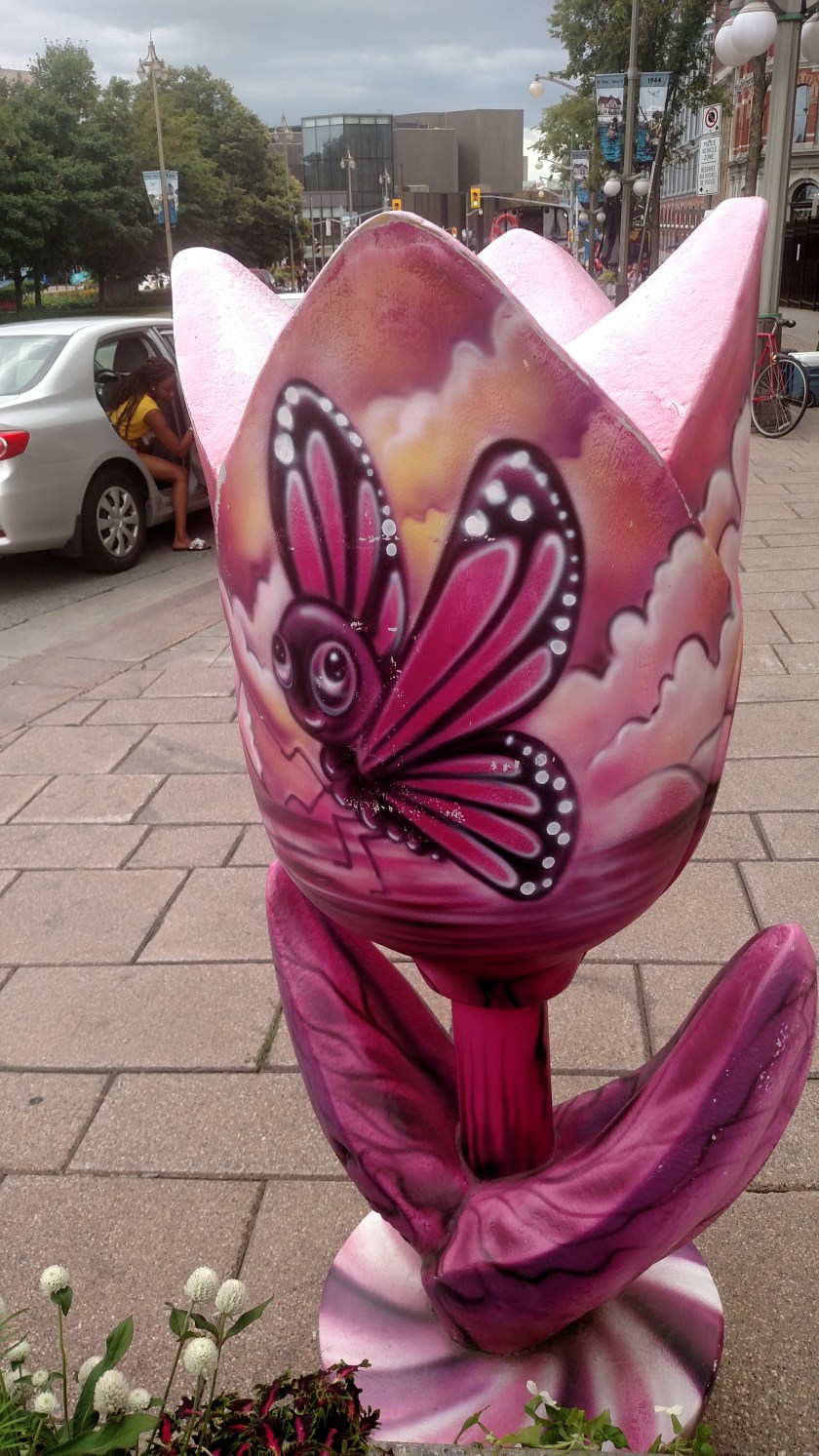 IMG_20190821_143946499