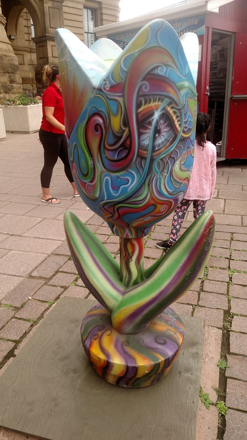 IMG_20190821_144237960