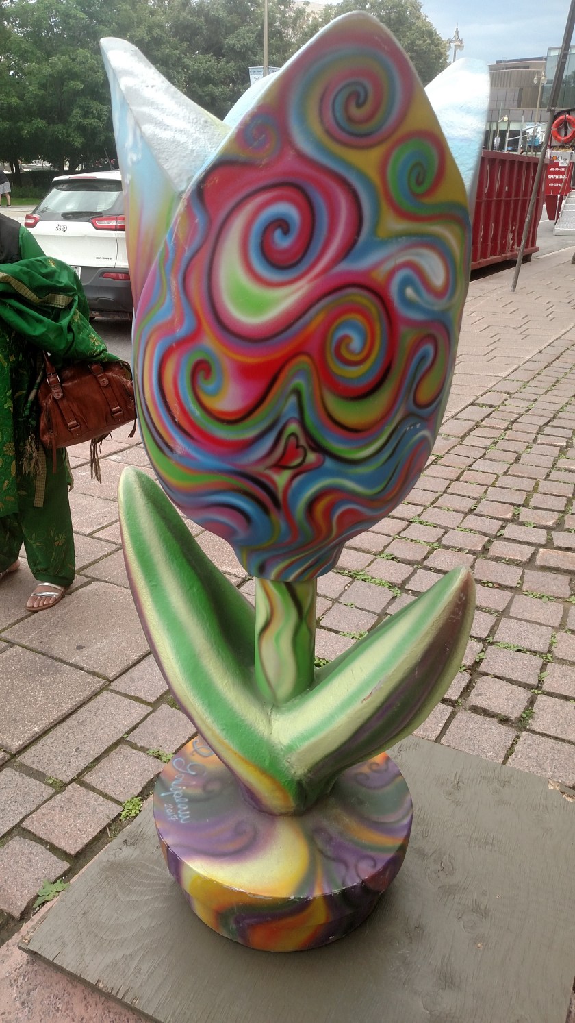 IMG_20190821_144251949