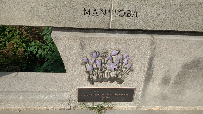 IMG_20190822_093141193