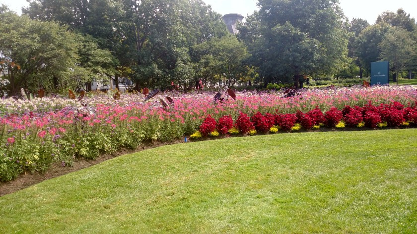 IMG_20190822_125759181_HDR