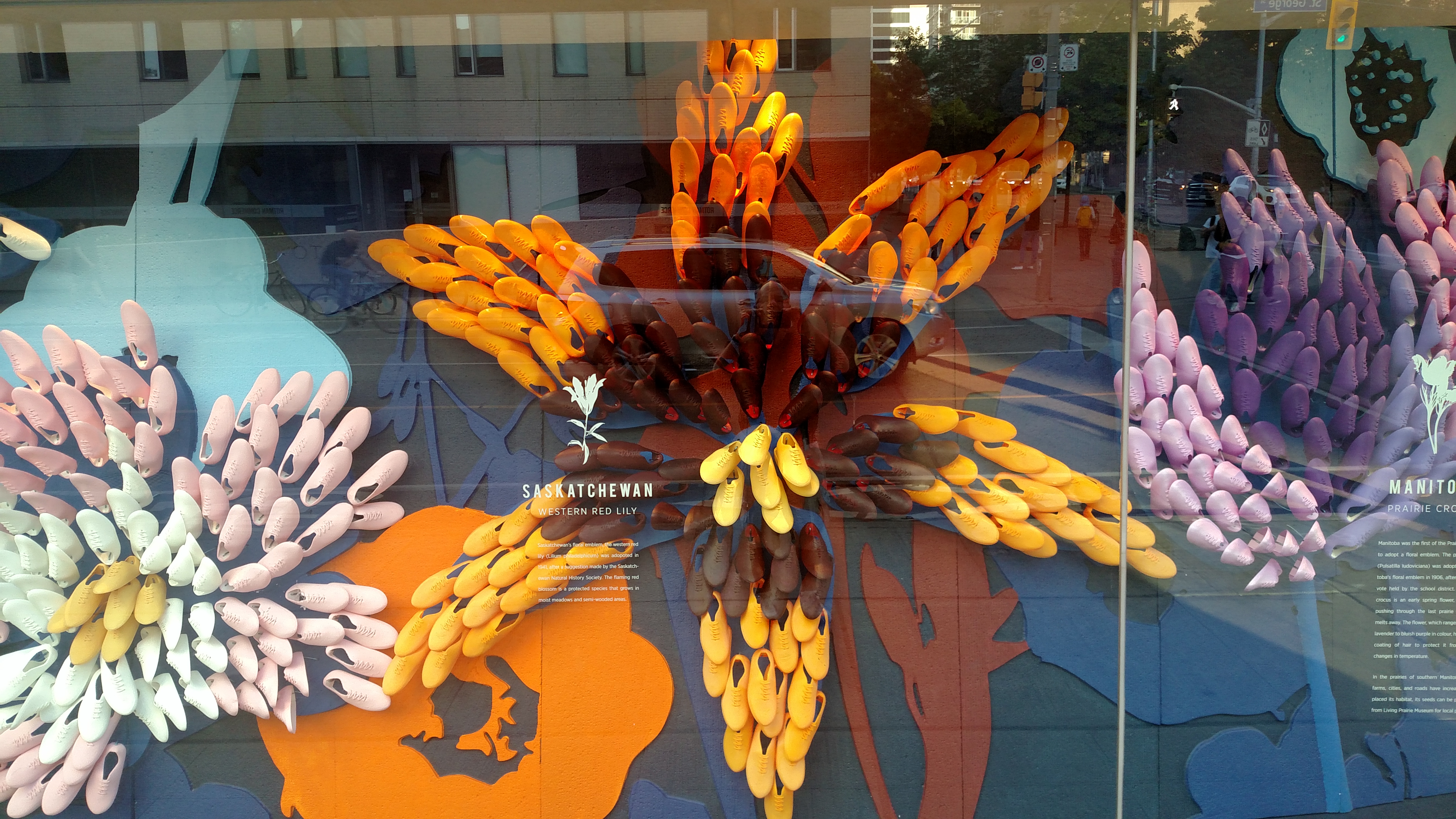 IMG_20190825_185401223